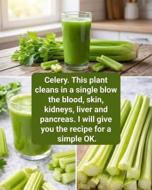 Simple Celery Hydration Juice