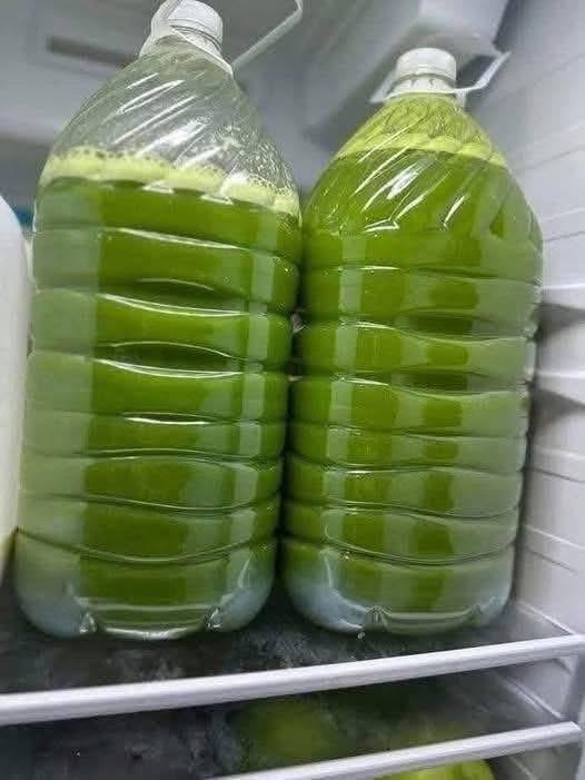 Anti-Inflammatory Liquid Gold Green Juice Anti-Inflammatory Liquid Gold Green Juice