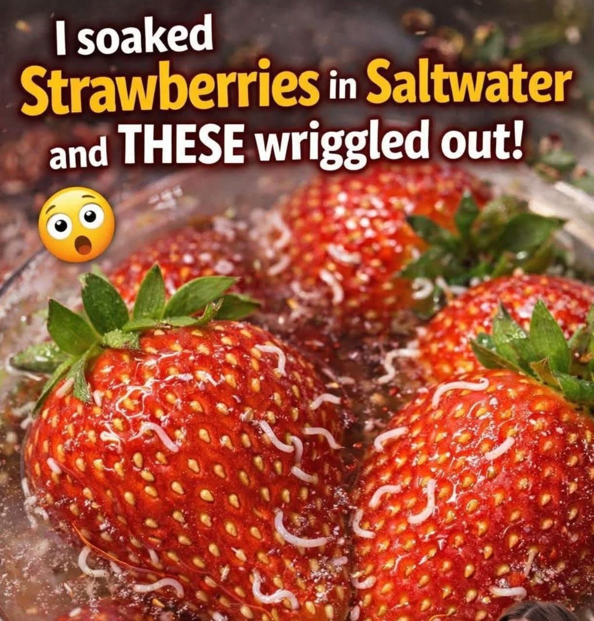 Salt Water Strawberry Cleaning Method Salt Water Strawberry Cleaning Method