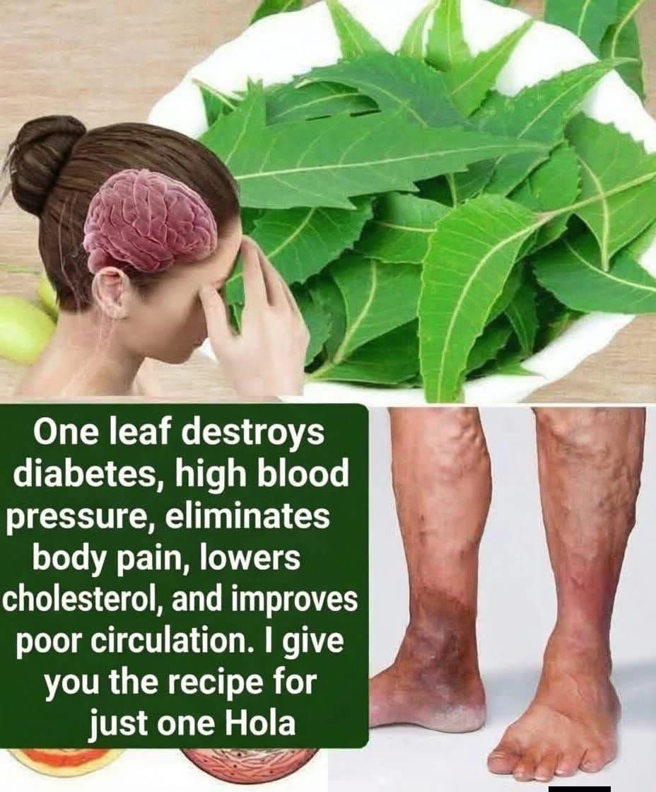 Discovery the Power of the Leaf That Will Transform Your Health