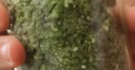 Discover the Simple Japanese Morning Habit That May Help Support Your Colon Health Naturally img 1305