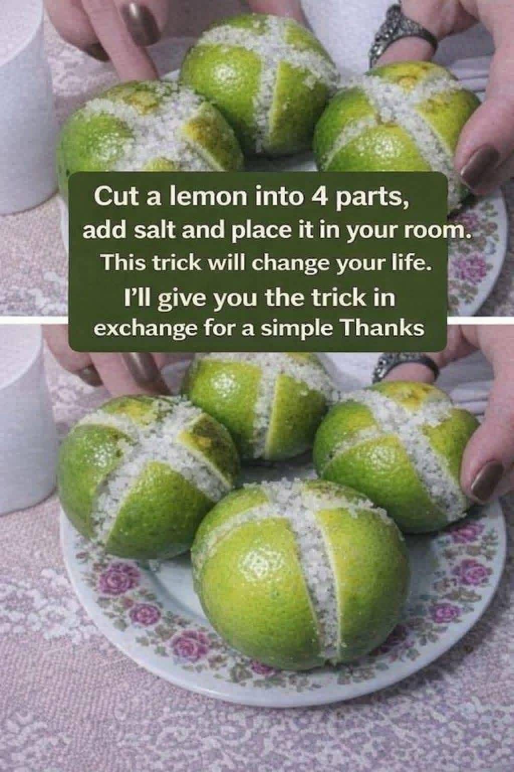 Cut a Lemon in 4, Add Salt & Place It in Your Room